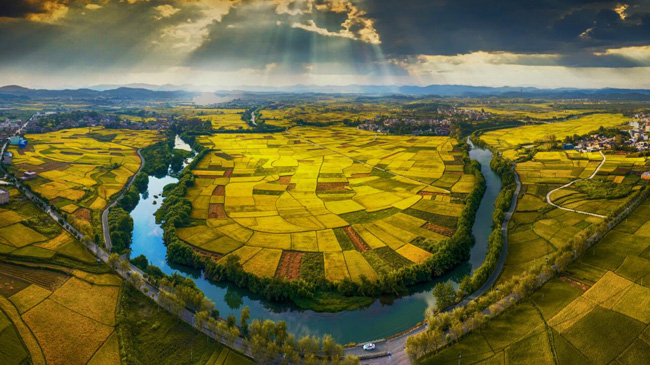 qq截图20230605185750.jpg